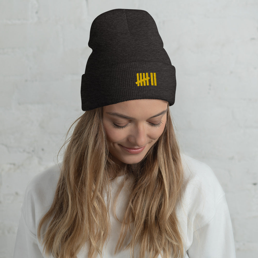 SEVEN LIVES - STRIPES // Cuffed Beanie